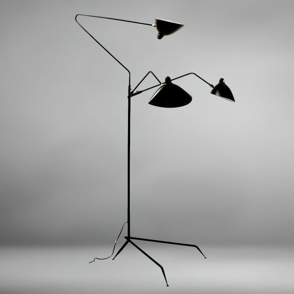 Arm Spider Floor Lamp