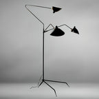Arm Spider Floor Lamp