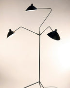 Arm Spider Floor Lamp
