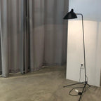 Arm Spider Floor Lamp