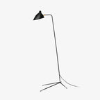 Arm Spider Floor Lamp