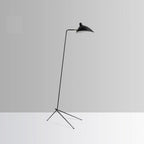 Arm Spider Floor Lamp