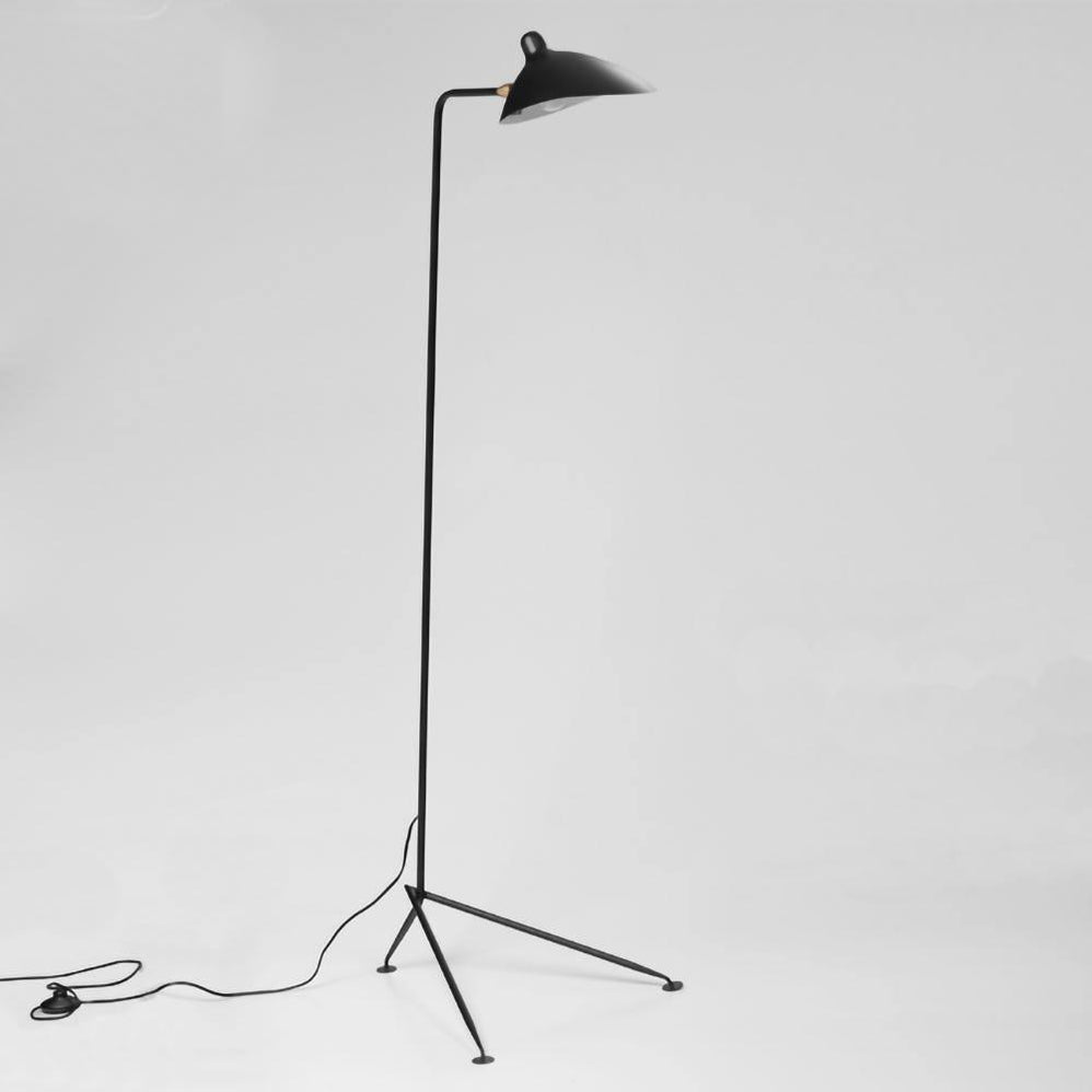 Arm Spider Floor Lamp