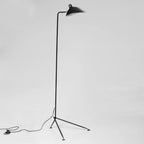 Arm Spider Floor Lamp