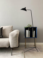 Arm Spider Floor Lamp