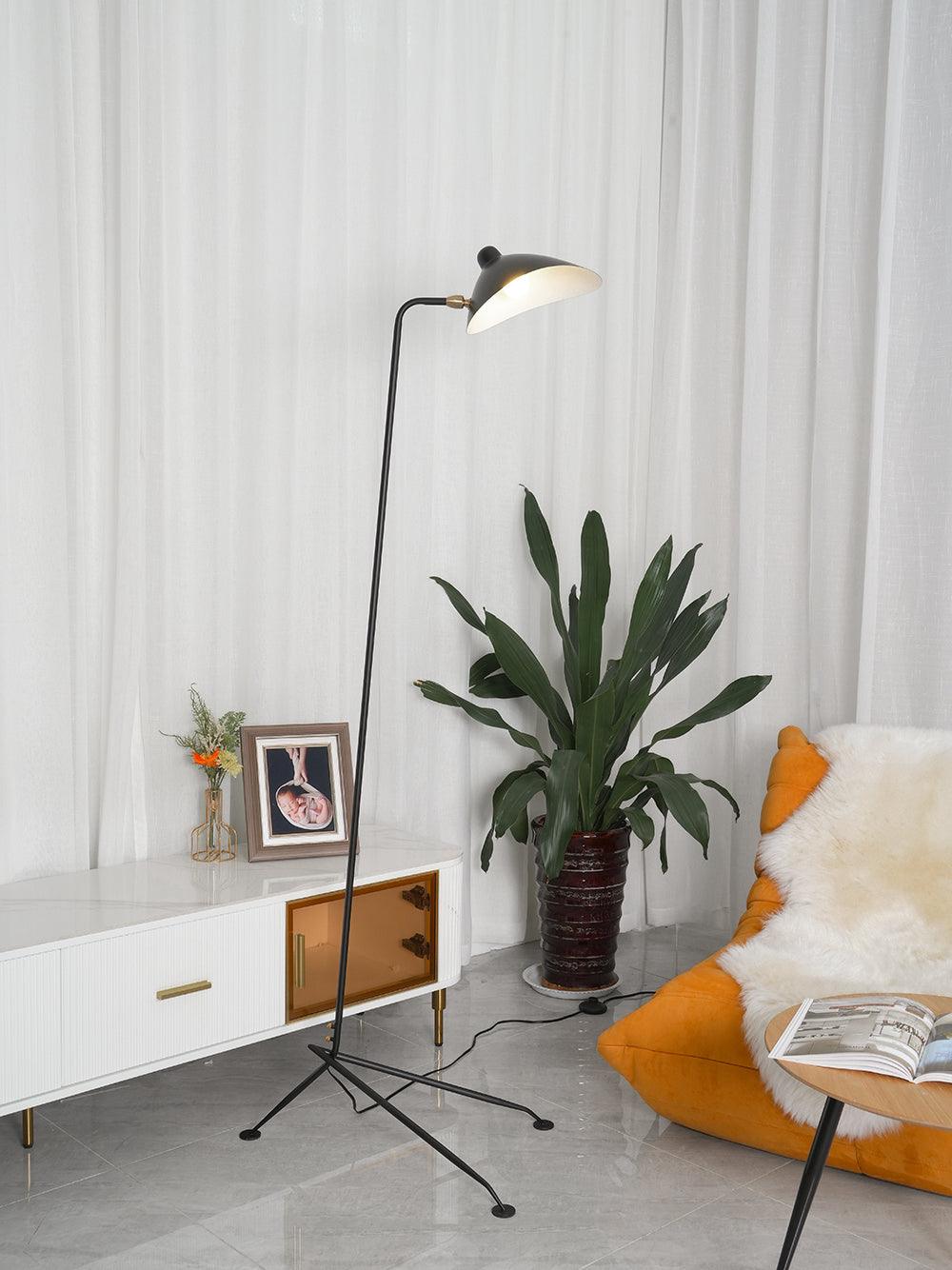 Arm Spider Floor Lamp