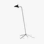 Arm Spider Floor Lamp