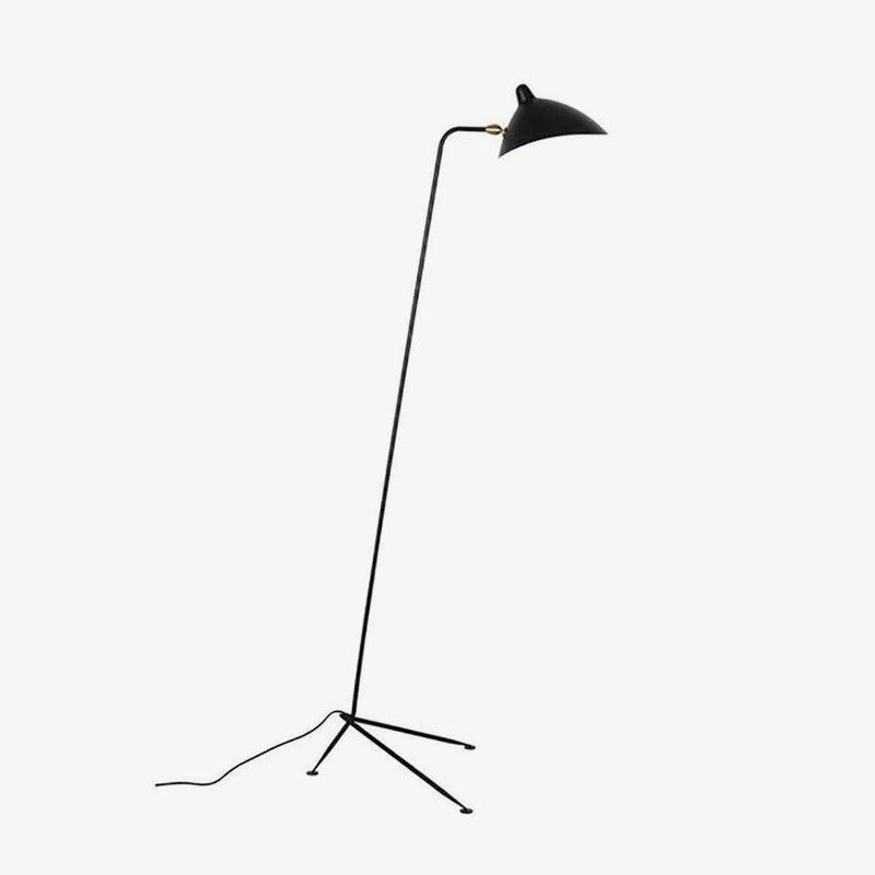 Arm Spider Floor Lamp