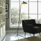 Arm Spider Floor Lamp