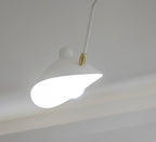Multi-Arm Spider Ceiling Lamp B