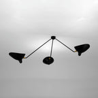 Multi-Arm Spider Ceiling Lamp B