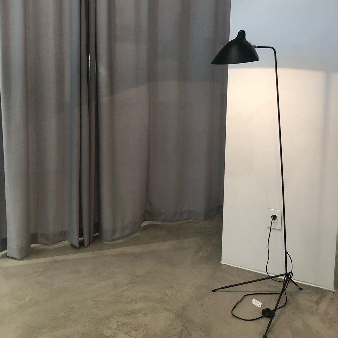 Arm Spider Floor Lamp