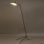 Arm Spider Floor Lamp