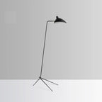 Arm Spider Floor Lamp