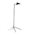 Arm Spider Floor Lamp
