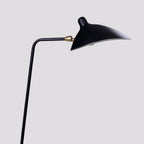 Arm Spider Floor Lamp