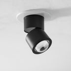 Sunset Adjustable LED Spotlight