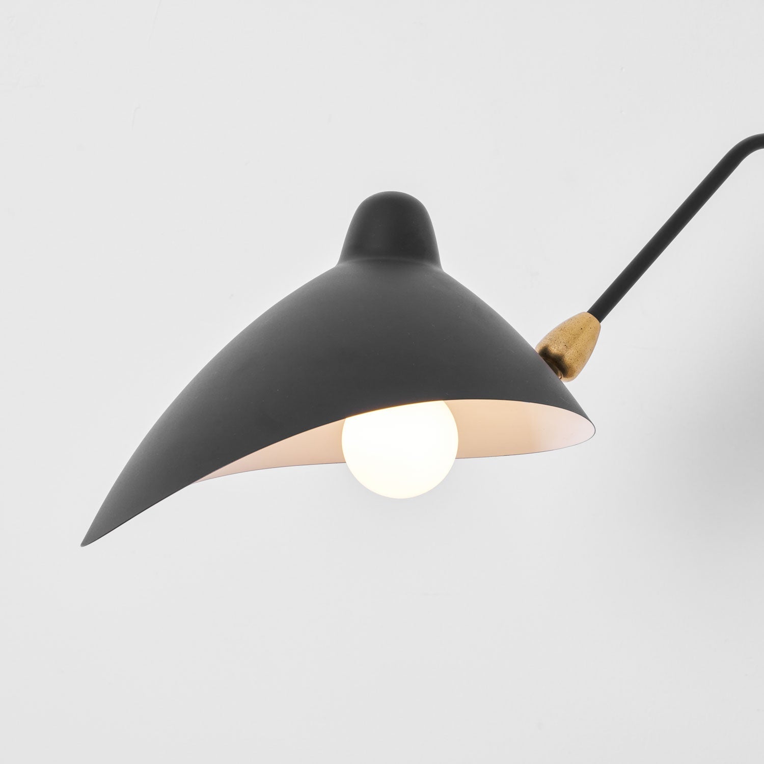 Versatile Arm Wall Sconce
