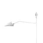 Versatile Arm Wall Sconce
